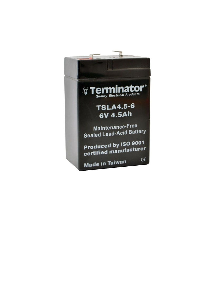Terminator - Terminator SLA Battery 6V-4.5Ah TSLA 4.5-6 - Image 1