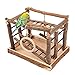 Niteangel Natural Living Playground for Birds Bird Activity Center - Image 3