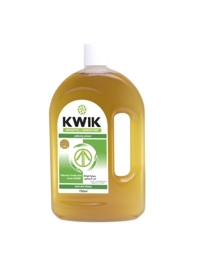 Antiseptic Disinfectant, 750ml, Kuwait