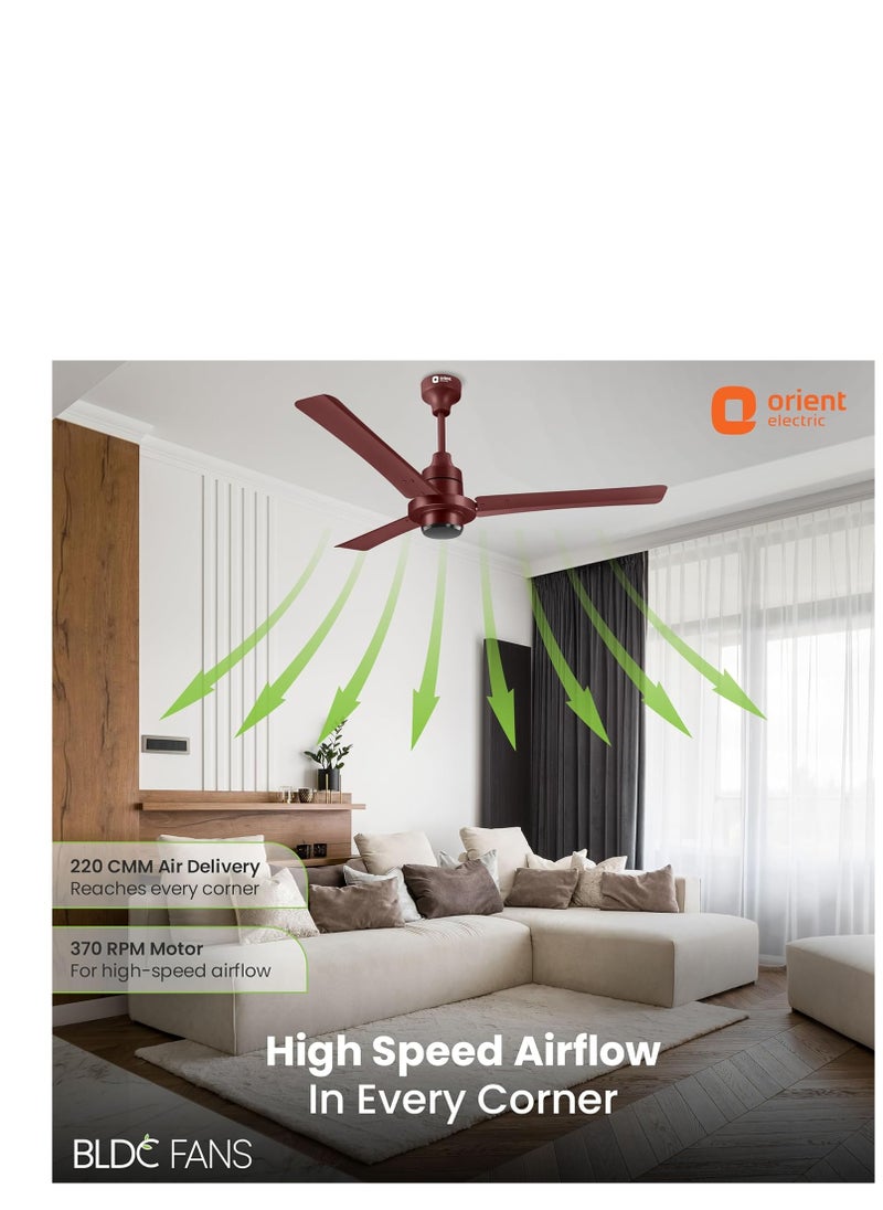 ORIENT Orient Electric 1200 mm ceiling fan  - Image 2