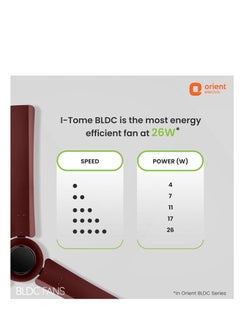 ORIENT أورينت إلكتريك مروحة سقف 1200 ملم  - Image 5