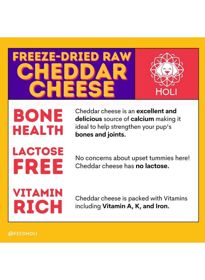 هولي مكافآت الكلاب من هولي بجبنة الشيدر المجففة بالتجميد - طبيعية 100% - مناسبة للبشر، مكون واحد فقط، خالية من اللاكتوز والحبوب والغلوتين والصويا - (10 أونصة) - Image 4