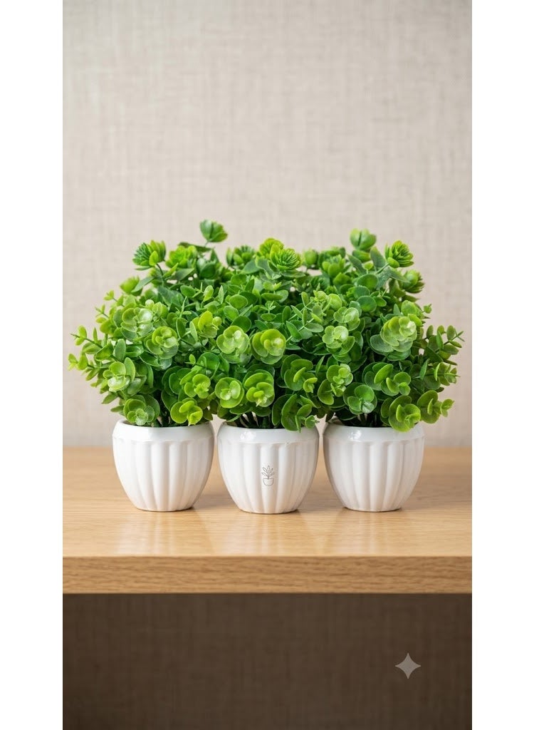 Miniature artificial eucalyptus plant in a classic, elegant pot. (3 pieces) - Image 2