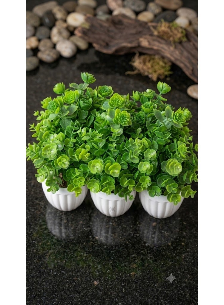 Miniature artificial eucalyptus plant in a classic, elegant pot. (3 pieces) - Image 3