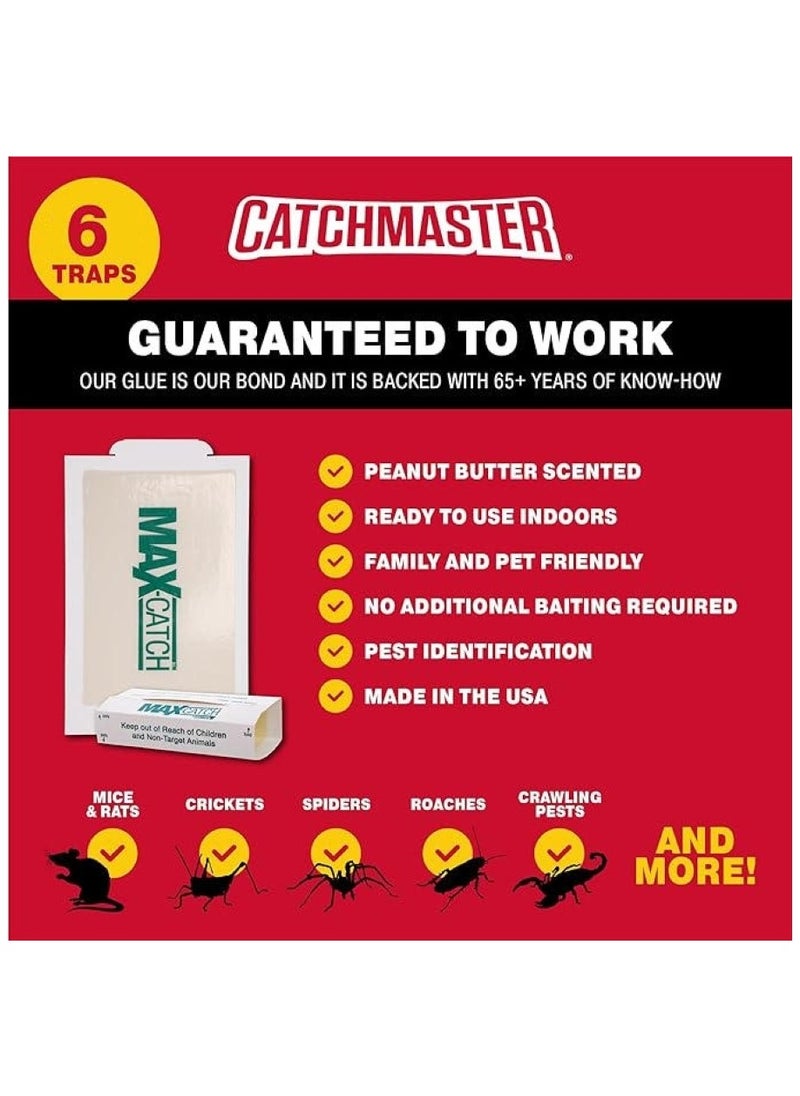 Max-Catch Mouse And Insect Trap 6 Piece