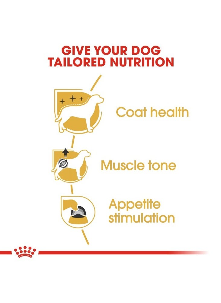 ROYAL CANIN - Breed Health Nutrition Poodle Adult WET FOOD - Pouches 12 x 85g - Image 1