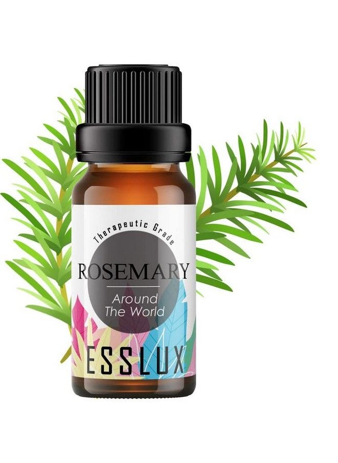 ESSLUX Pure Rosemary Oil For Hair Growth & Dry Scalp 100% Therapeutic Grade Undiluted Rosemary Essential Oils For Skin Diffuser & Aromatherapy Rosemary Hair Oil For Hair Growth 10 Ml  - Image 1