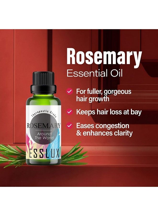 ESSLUX Pure Rosemary Oil For Hair Growth & Dry Scalp 100% Therapeutic Grade Undiluted Rosemary Essential Oils For Skin Diffuser & Aromatherapy Rosemary Hair Oil For Hair Growth 10 Ml  - Image 3