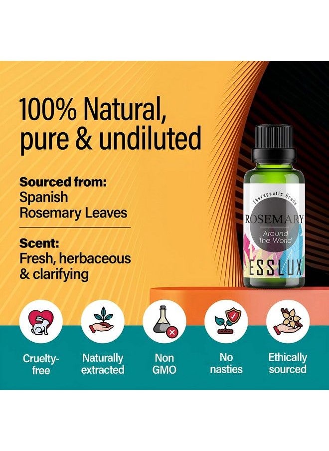 Pure Rosemary Oil For Hair Growth & Dry Scalp 100% Therapeutic Grade Undiluted Rosemary Essential Oils For Skin Diffuser & Aromatherapy Rosemary Hair Oil For Hair Growth 10 Ml - pzsku/ZEC36FC063ACEF4383828Z/45/_/1690021336/ec1c77b6-c7a1-44ff-93ee-d6b62b03c5cf