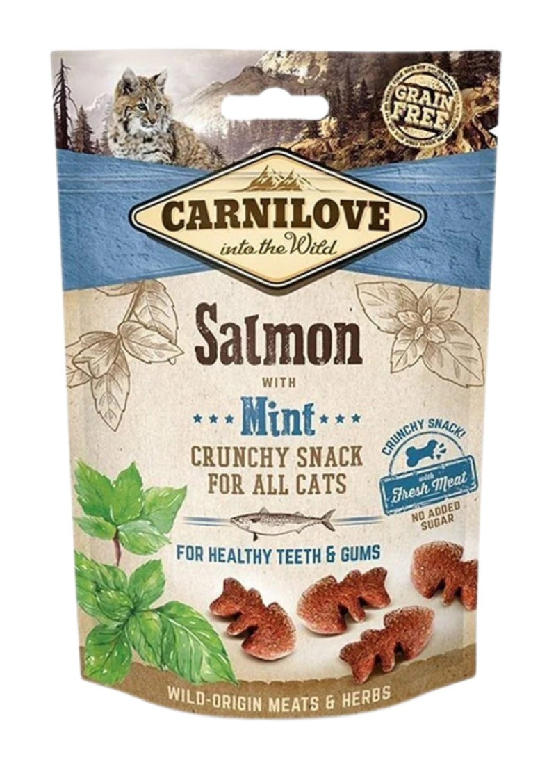 CARNILOVE Treats Salmon with Mint Fresh Meat 50g for Cats 