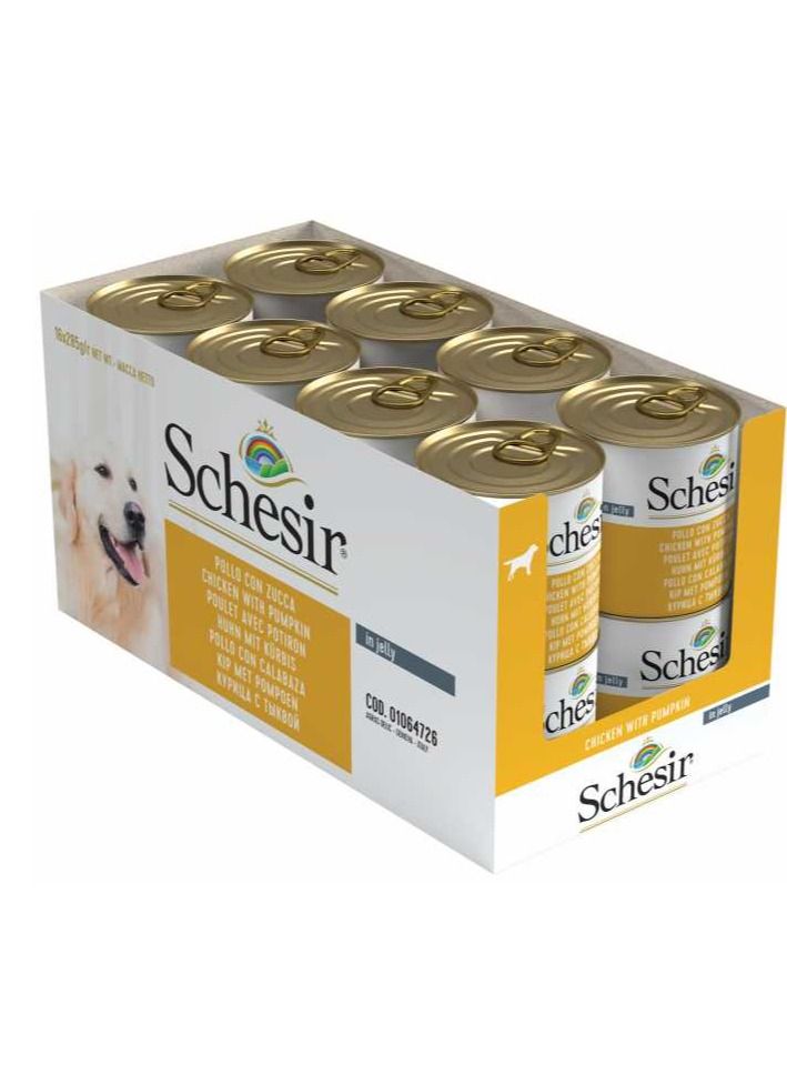 Schesir Dog Wet Food-Chicken With Pumpkin 16PC - Image 1