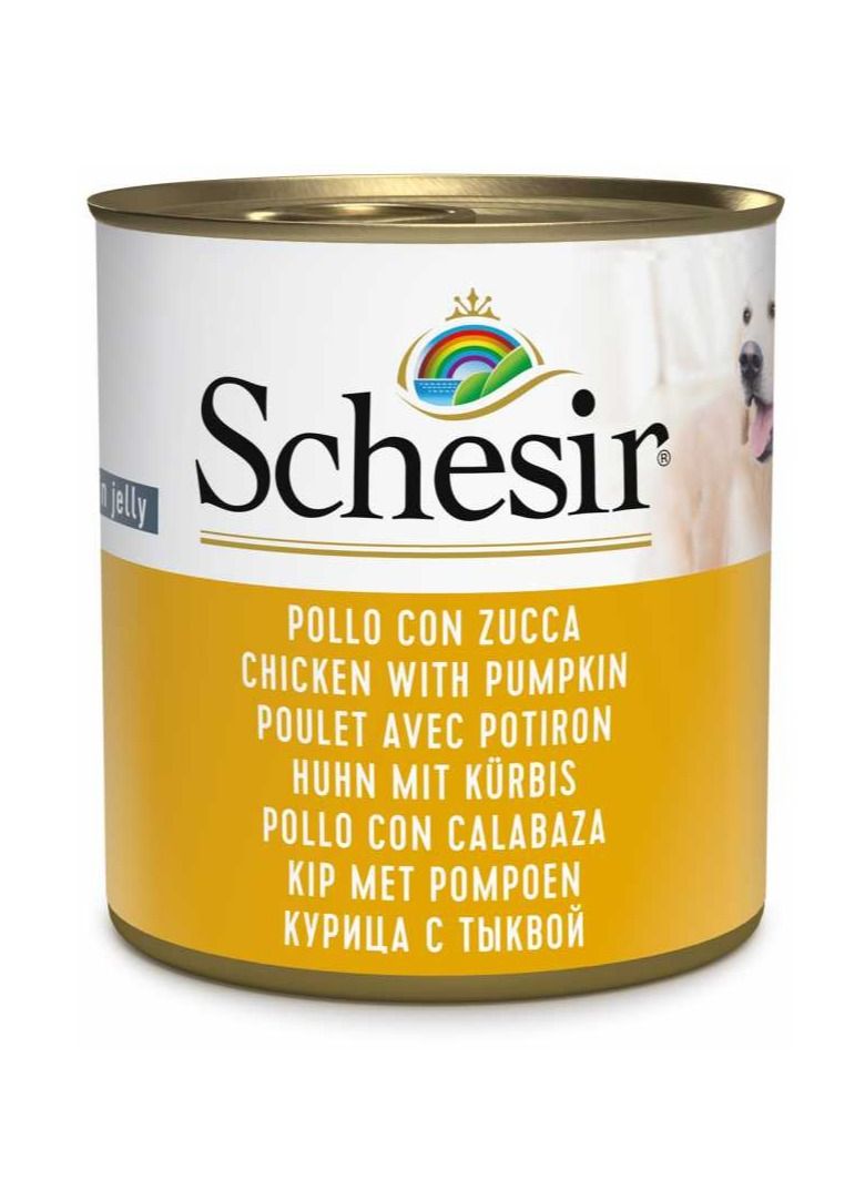 Schesir Dog Wet Food-Chicken With Pumpkin 16PC - Image 2