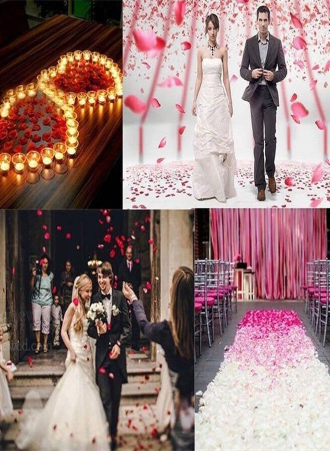 Skydume Snadulor 1000pcs Peach Color Silk Rose Flower Petals for Wedding Table Confetti Bridal Party Flower Girl Decoration - Image 3