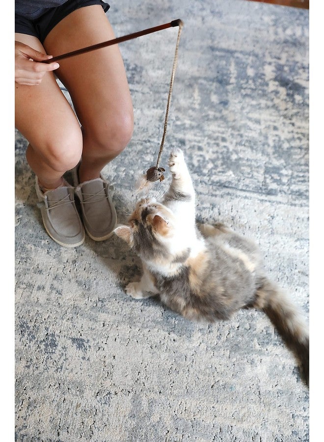 Our Pets OurPets Play-N-Squeak Teathered & Feathered Play Wand Cat Toy, for All Breed Sizes - Image 4