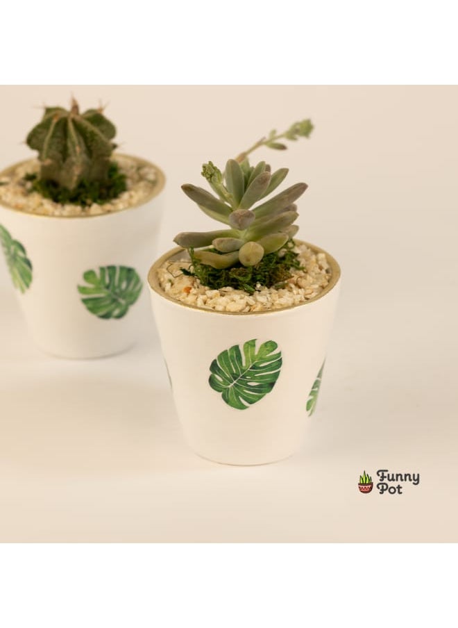 Funny Pot Cactus pottery pot 