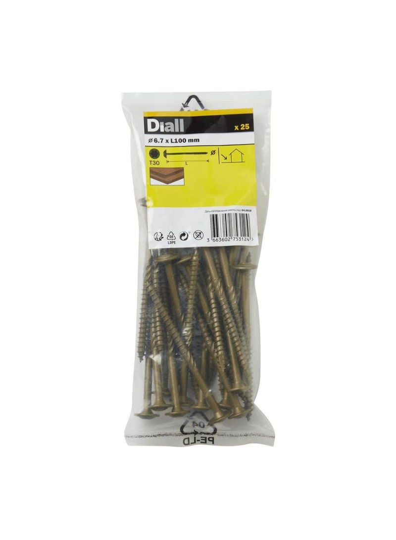 Carbon Steel Screw Pack 10 Cm 25 Piece