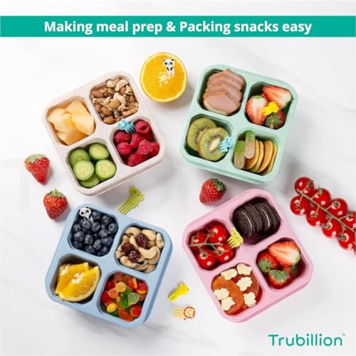 TRUBILLION QuadBites, 4 Compartment Storage Boxes,Pack of 4 BPA-Free PP Lunchbox, Fridge Storage Containers,Multicolor,Stackable,Transparent Lid,for Fruits,Snacks,Spices (Multicolor (Set of 4)) - Image 3