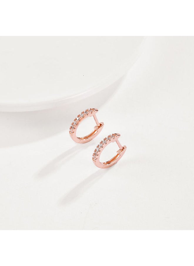NIBEMINENT - Fashion Ladies Earrings Ake240C - Image 1