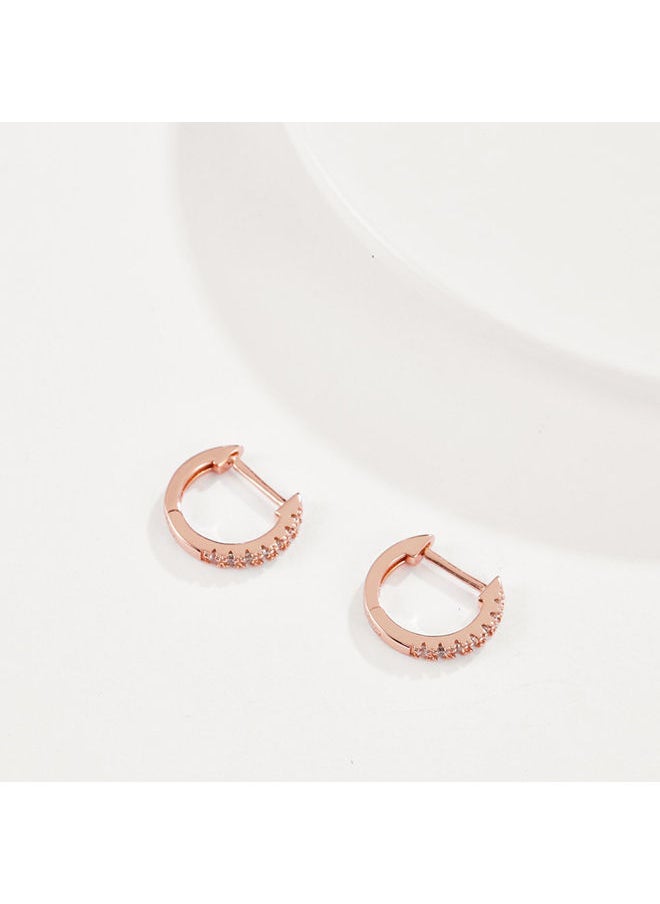NIBEMINENT - Fashion Ladies Earrings Ake240C - Image 1