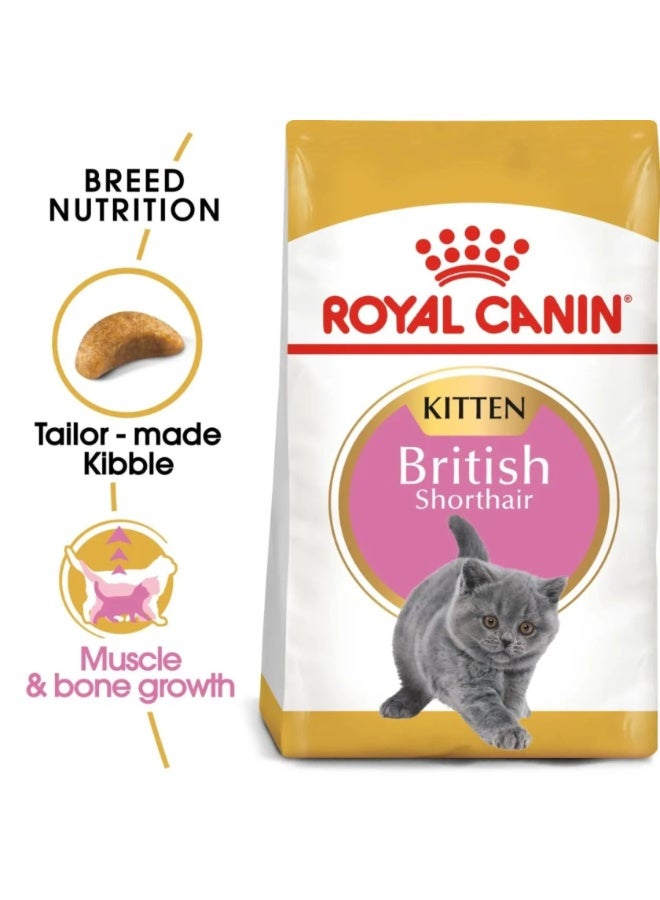 Royal Canin Feline Breed Nutrition British Shorthair Kitten Dry Food - 2kg - Image 2
