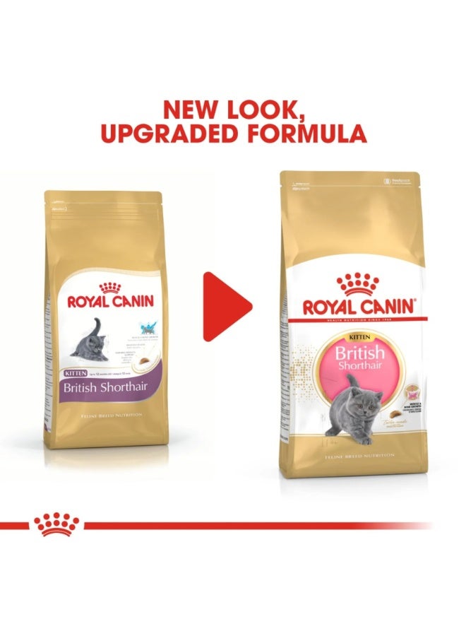 Royal Canin Feline Breed Nutrition British Shorthair Kitten Dry Food - 2kg - Image 3
