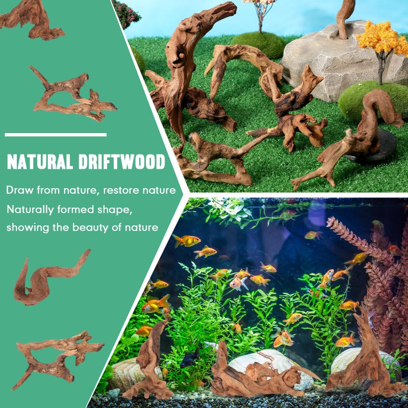 Suzile 20 Pcs Small Natural Coral Driftwood for Aquarium 4-7 Inches Driftwood Assorted Shapes Reptile Terrarium Decor Drift Wooden Branch for Fish Tank Aquarium Decoration - Image 4