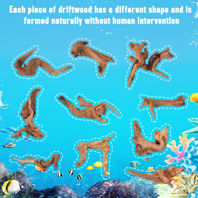 Suzile 20 Pcs Small Natural Coral Driftwood for Aquarium 4-7 Inches Driftwood Assorted Shapes Reptile Terrarium Decor Drift Wooden Branch for Fish Tank Aquarium Decoration - Image 3