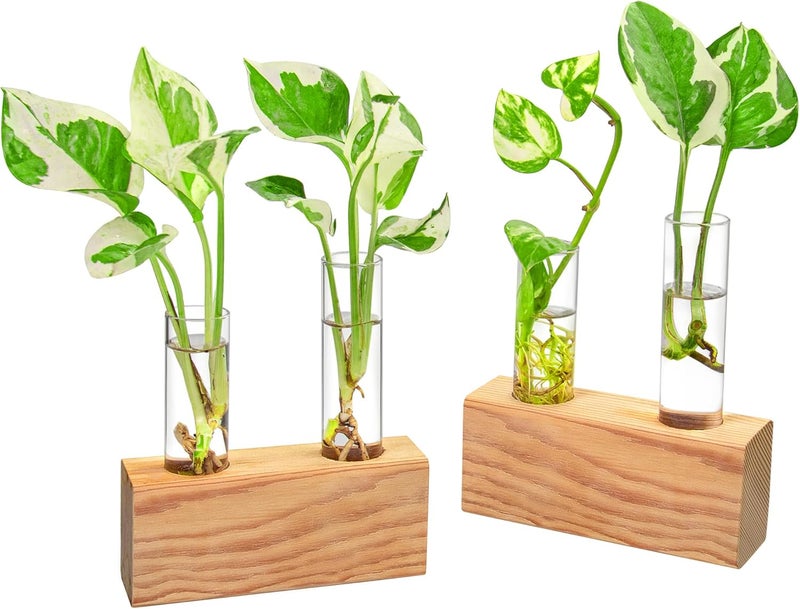 IVOLADOR I Propagation Station, Plants Terrarium, Plants Lover Gifts for Women,Plant Cutting Holder Home décor,Gifts for Women,House Warming New Home-4 Tubes-Beige - Image 1
