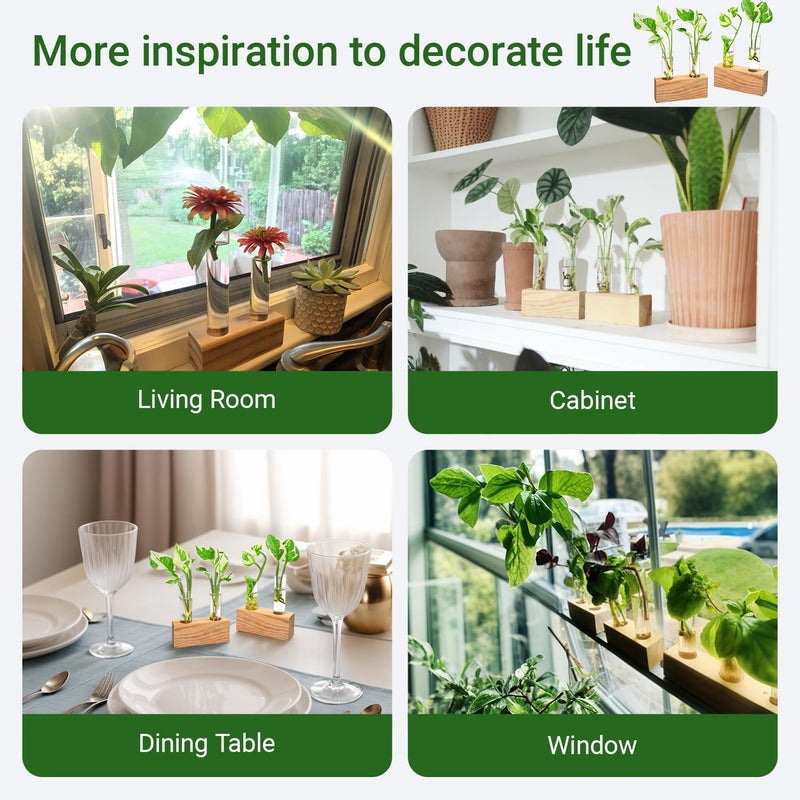 IVOLADOR I Propagation Station, Plants Terrarium, Plants Lover Gifts for Women,Plant Cutting Holder Home décor,Gifts for Women,House Warming New Home-4 Tubes-Beige - Image 5