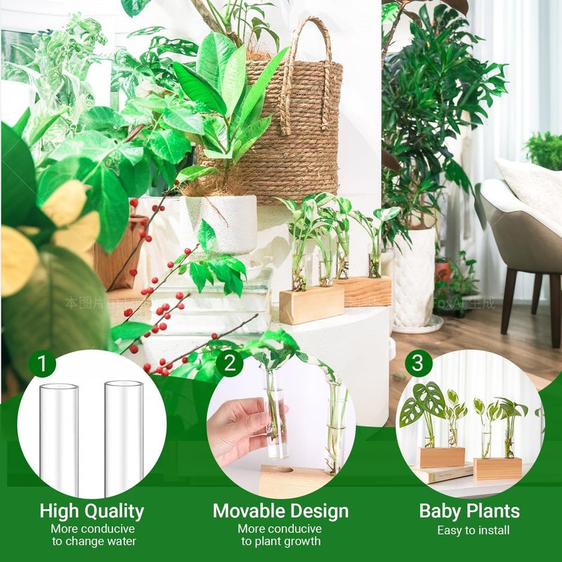 IVOLADOR I Propagation Station, Plants Terrarium, Plants Lover Gifts for Women,Plant Cutting Holder Home décor,Gifts for Women,House Warming New Home-4 Tubes-Beige - Image 3