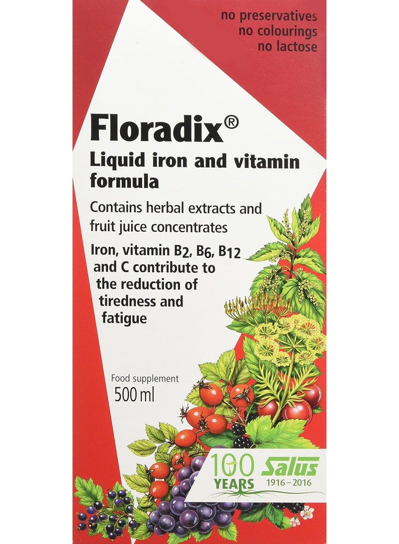 Salus Floradix Liquid Iron Formula 500Ml - Image 1