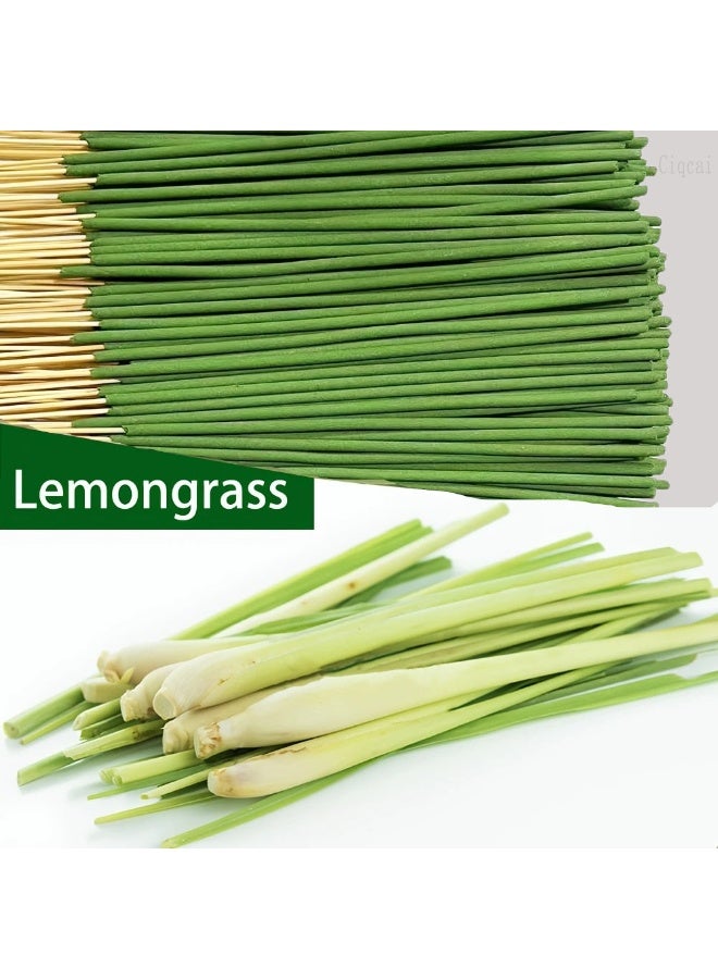 22cm Citronella Lemongrass Bamboo Incense, Outdoor Camping Mosquito Repellent Incense (50 Count in a Transparent Bag)  - Image 4