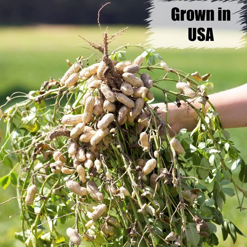 Old Potters Wildlife Shelled Peanuts, 10 lbs for Birds, Squirrels, and Wildlife. USA Grown Non-GMO, Organic Small Farm, Raw Shelled Peanuts. Wildlife Grade. - Image 4
