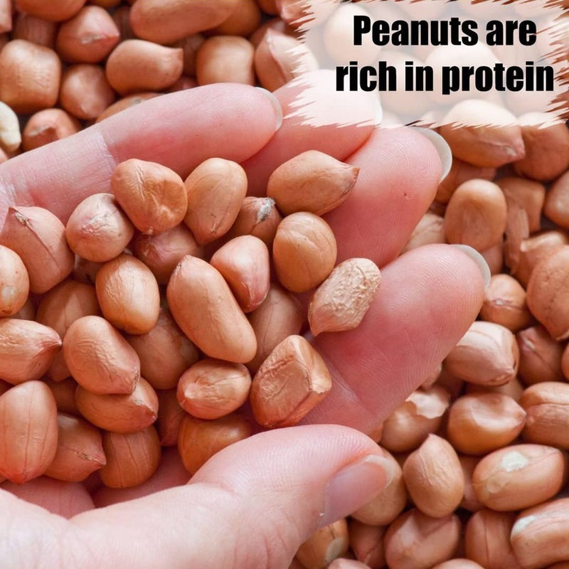 Old Potters Wildlife Shelled Peanuts, 10 lbs for Birds, Squirrels, and Wildlife. USA Grown Non-GMO, Organic Small Farm, Raw Shelled Peanuts. Wildlife Grade. - Image 3