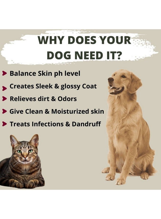 سايج سكوير شامبو غسول الجسم للكلاب والقطط - شامبو لا يسبب الدموع، يتحكم في تساقط الشعر، يرطب البشرة الجافة والحكة، يضيف لمعانًا (200 مل) - Image 5