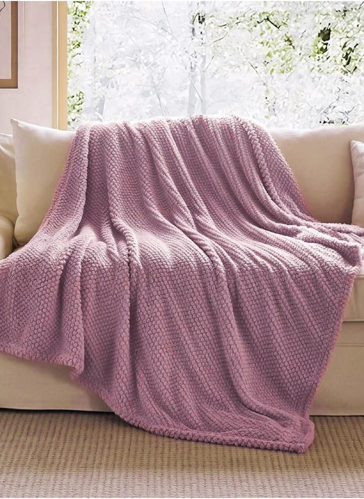 Lavita Embossed Velvet Blanket 200 × 230 - Purple - pzsku/ZEC40B27A52920F7F6C8FZ/45/_/1734164283/d11109e8-9471-481c-a1b2-2f2b7b62bd75