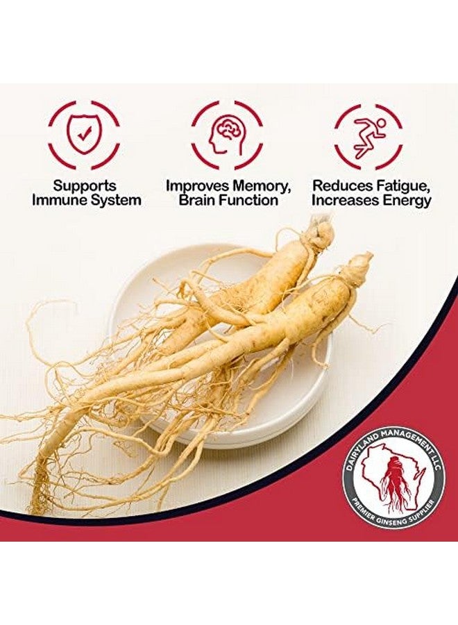 Dairyland Management LLC Dairyland American Ginseng Pearl Root (Non-GMO, Gluten Free) (Pearl 4 oz) - Image 5