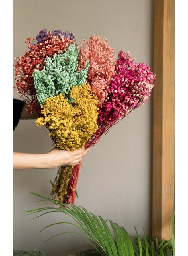 CLOUD INDIA Decorative Baby Breaths Naturally Dried Flower for Vase Filler for Home Dcor|Indoor |Office Dcor (Multicolor, 50 Stem) - Image 3