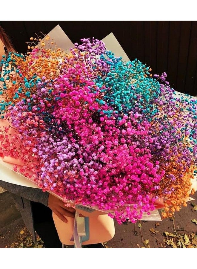 CLOUD INDIA Decorative Baby Breaths Naturally Dried Flower for Vase Filler for Home Dcor|Indoor |Office Dcor (Multicolor, 50 Stem) - Image 1