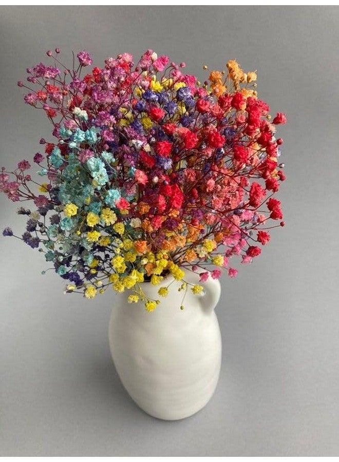 CLOUD INDIA Decorative Baby Breaths Naturally Dried Flower for Vase Filler for Home Dcor|Indoor |Office Dcor (Multicolor, 50 Stem) - Image 2