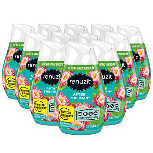 Renuzit Adjustable Gel Air Freshener Cone, After the Rain Scent, Nonstop Freshness, 7oz Cone, 12 Count, brand is Renuzit. - Image 1