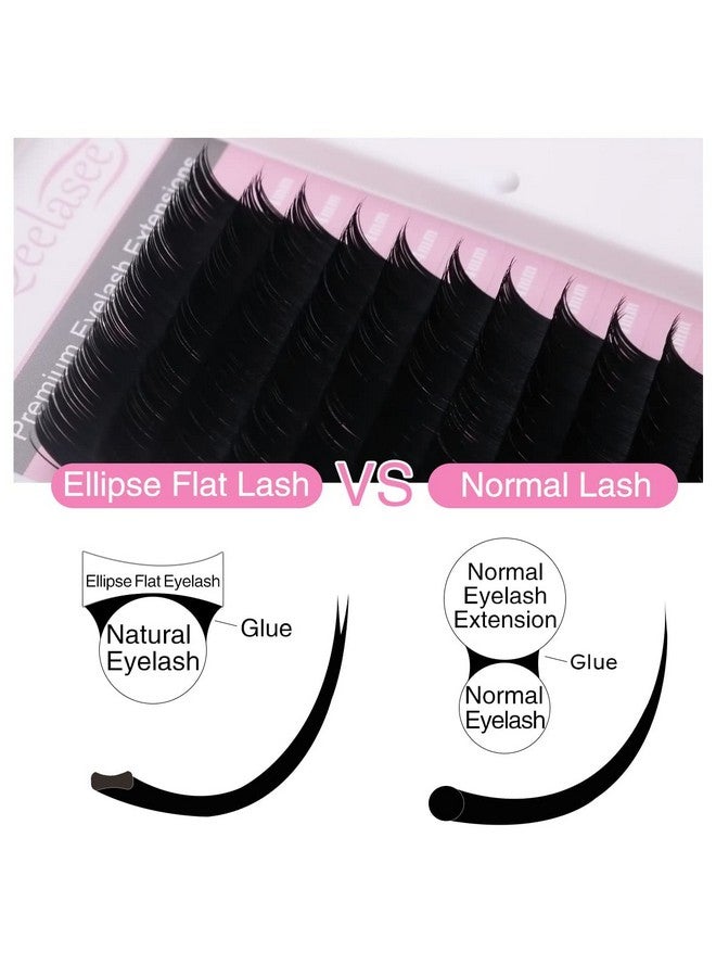 Qeelasee Ellipse Eyelash Extension 0.20 Cc Curl 11Mm Flat Eyelashes False Mink Individual Eyelash Extension Professional Salon Used By Qeelasee - Image 3