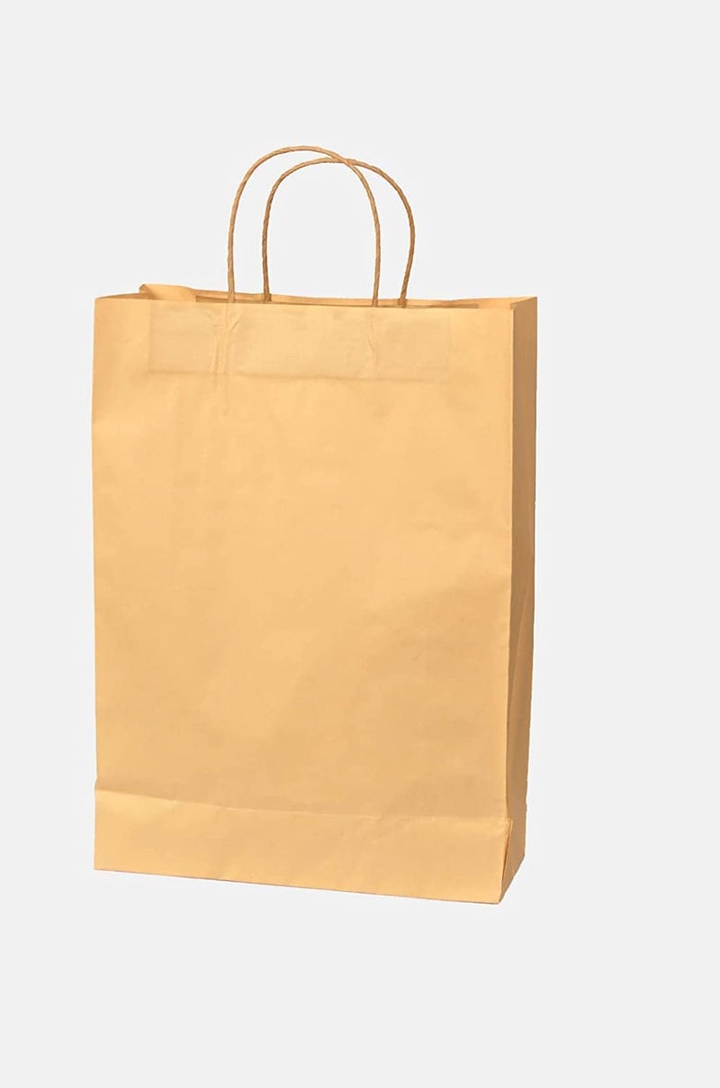 ADPP 4 * 9 * 12 GB Paper Bag 120GSM/24BF/INDIAN Carf Paper/Food Grade (50) - Image 1