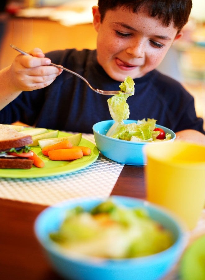 Green Eats 4 Pack Snack Plate, Orange - Image 3