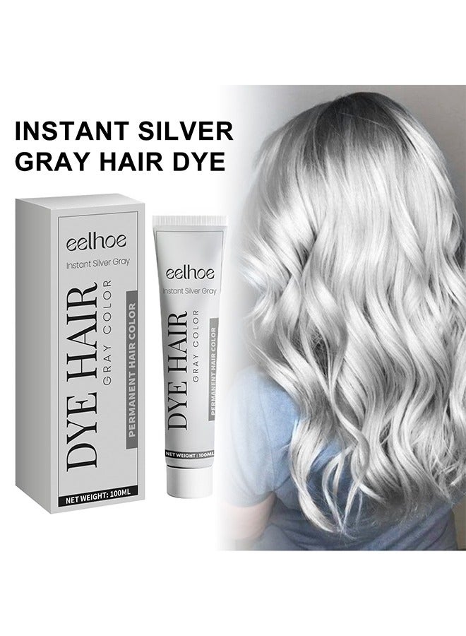 EELHOE Silver Gray Natural Hair Dye Cream,Hair Dye Light Gray Silver Color Cream,Gray Silver Color Cream,Grey Permanent Hair Dye,Silver Gray Natural Hair Color Cream,Silver Hair Dye,100ML - Image 1