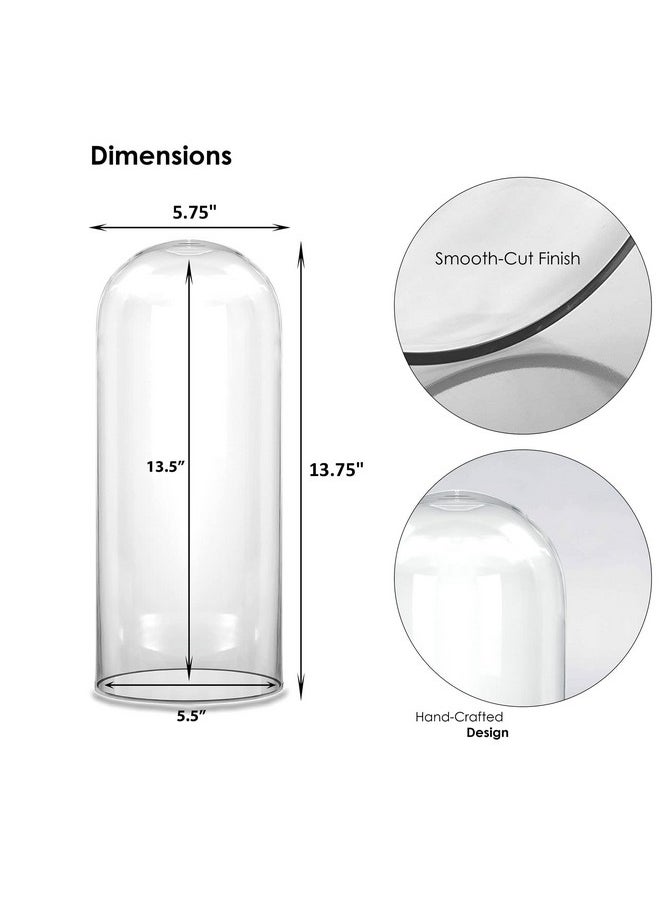CYS EXCEL CYS EXCEL Glass Dome Cloche (H:13.75" D:5.75") | Multiple Sizes Decorative Showcase Display for Antique Collectibles | Bell Jar Terrarium & Dessert Cover  - Image 2