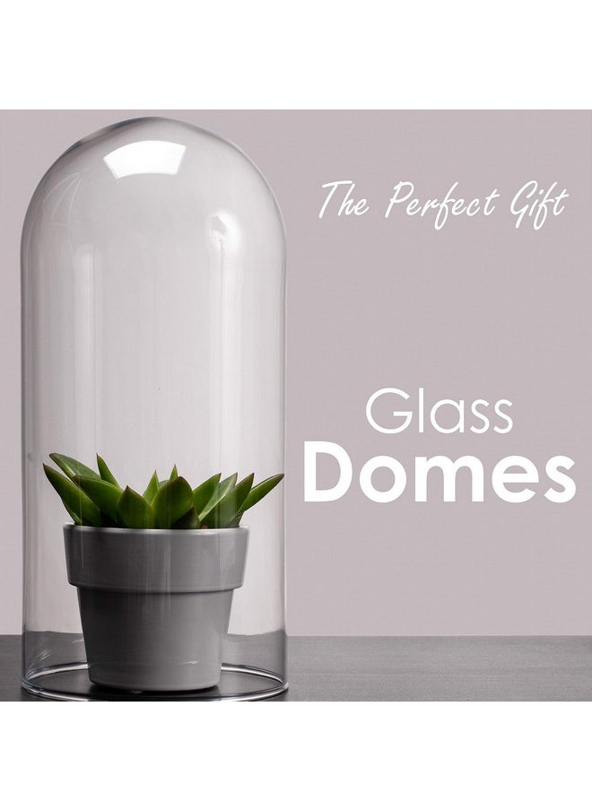 CYS EXCEL CYS EXCEL Glass Dome Cloche (H:13.75" D:5.75") | Multiple Sizes Decorative Showcase Display for Antique Collectibles | Bell Jar Terrarium & Dessert Cover  - Image 3