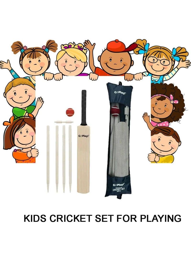 SF Wooden Cricket Set for Kids – Size 5 | Complete Outdoor Cricket Kit with Bat, Stumps, Hard Tennis Ball & Carry Bag | Ideal for Ages 8–12 - Image 2