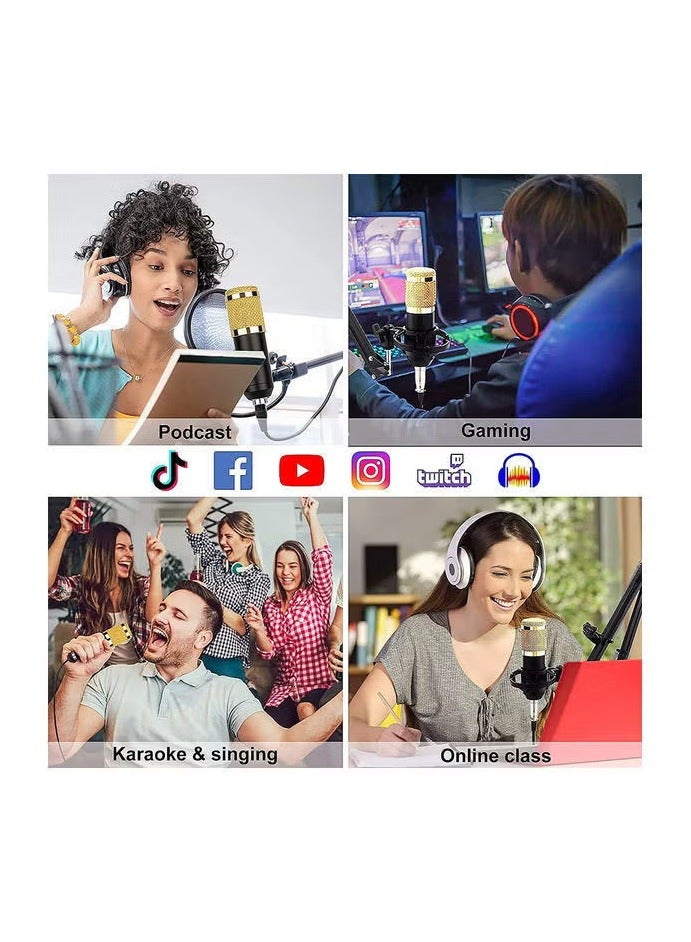 Rabos Professional Condenser Microphone Bundle with Live Sound Card for Studio Recording and Broadcasting Black - Image 4