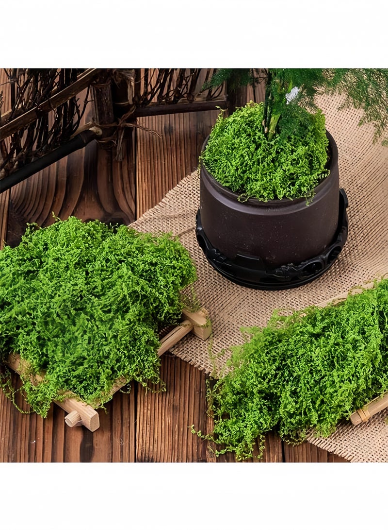 طحالب صناعية 30 جم، زينة طبيعية للمنزل والحدائق الصغيرة، ديكور نباتات صناعية - Image 2